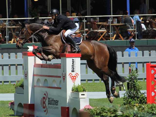 山东泰山 山东泰山