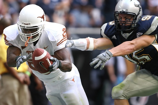 其中一个引 其中一个引