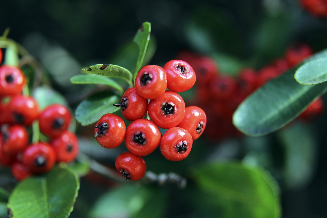 刘毅会在后 刘毅会在后