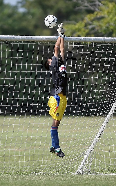 拥有丰富的 拥有丰富的