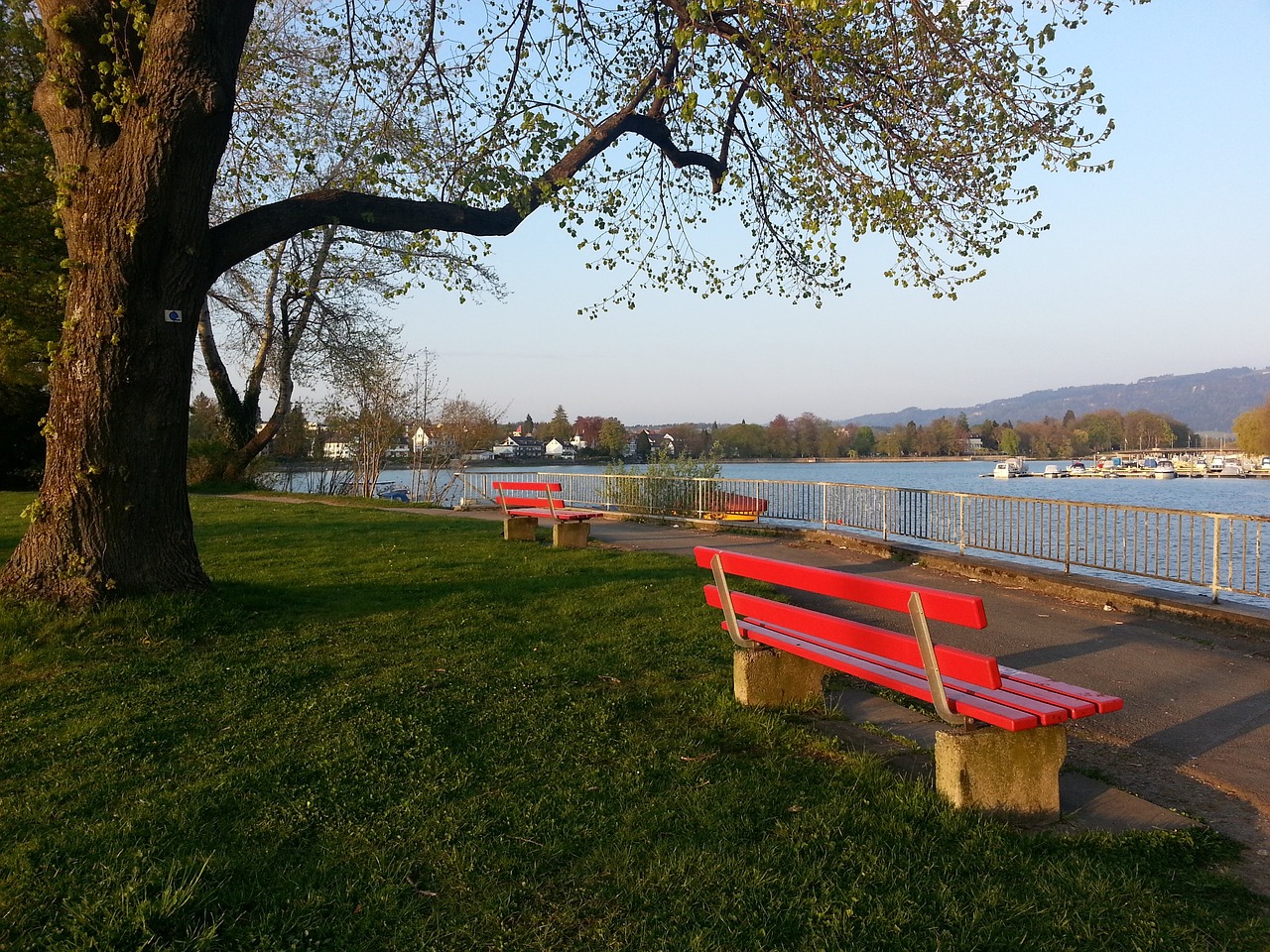 平衡的全能 平衡的全能