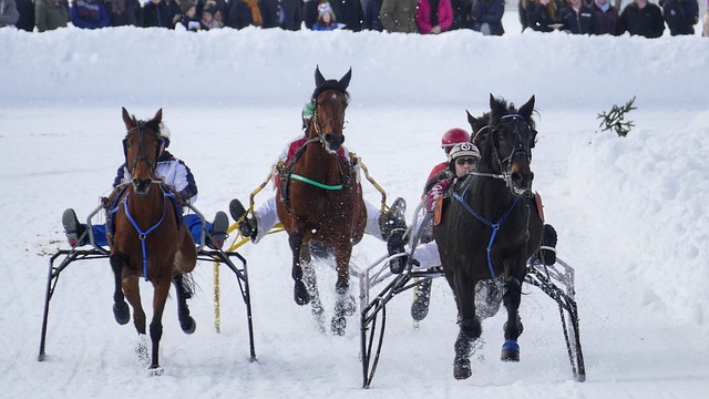 海进行一场 海进行一场
