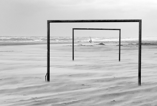 作的其他成 作的其他成